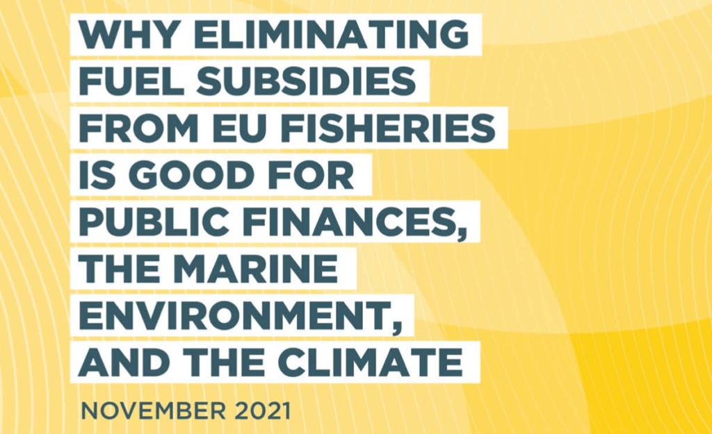 Why eliminating Fuel Subsidies from EU Fisheries is Good for Public Finances, the Marine Environment, and the Climate