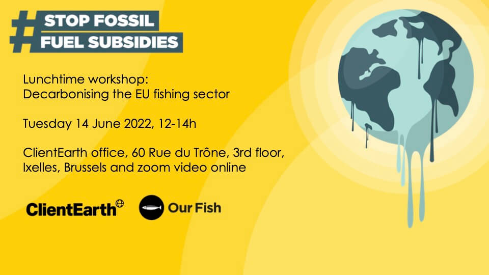 Watch Workshop Video: Decarbonising the EU Fishing Sector