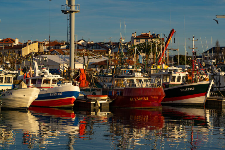 Fishing boats in the harbour of Saint Jean de Luz, Basque Country, Pyrenees Atlantiques, France. Photo: davewalshphoto.com