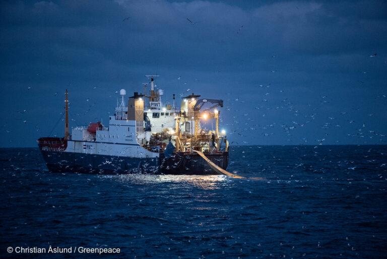 Fishing vessel Zealand - Copyright Christian Åslund / Greenpeace
