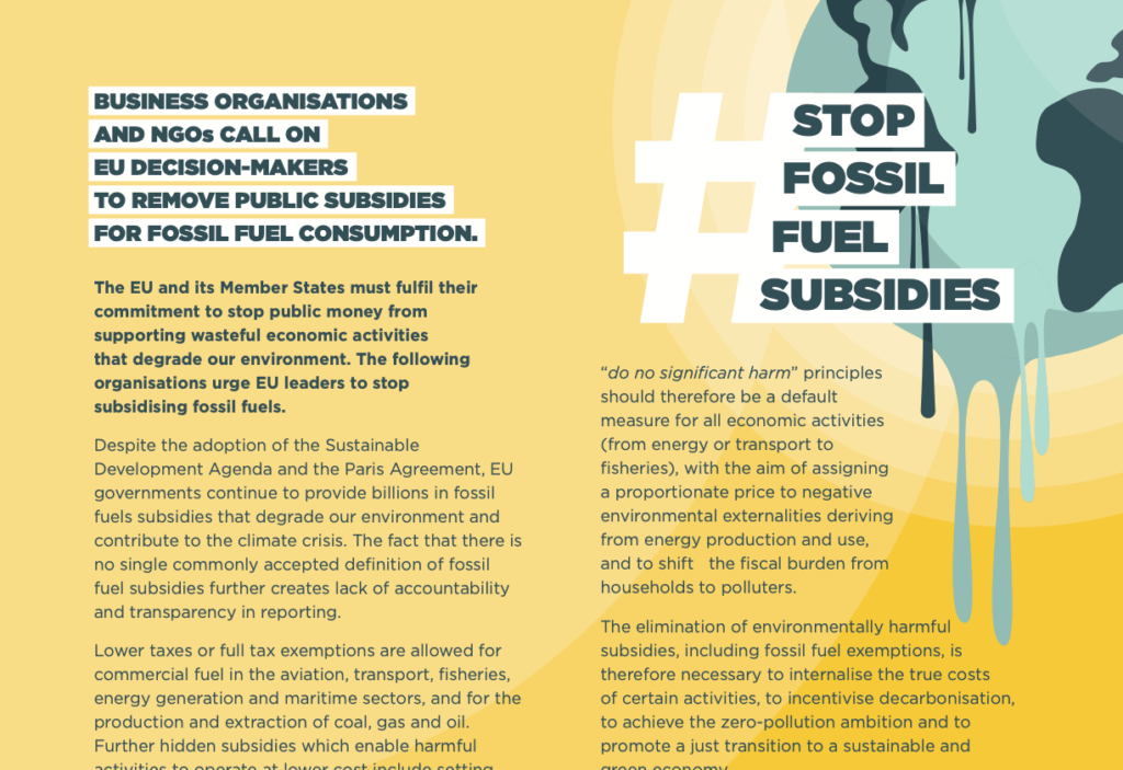 Statement: Business Organisations and NGOs call on EU decision-makers to remove public subsidies to fossil fuel consumption