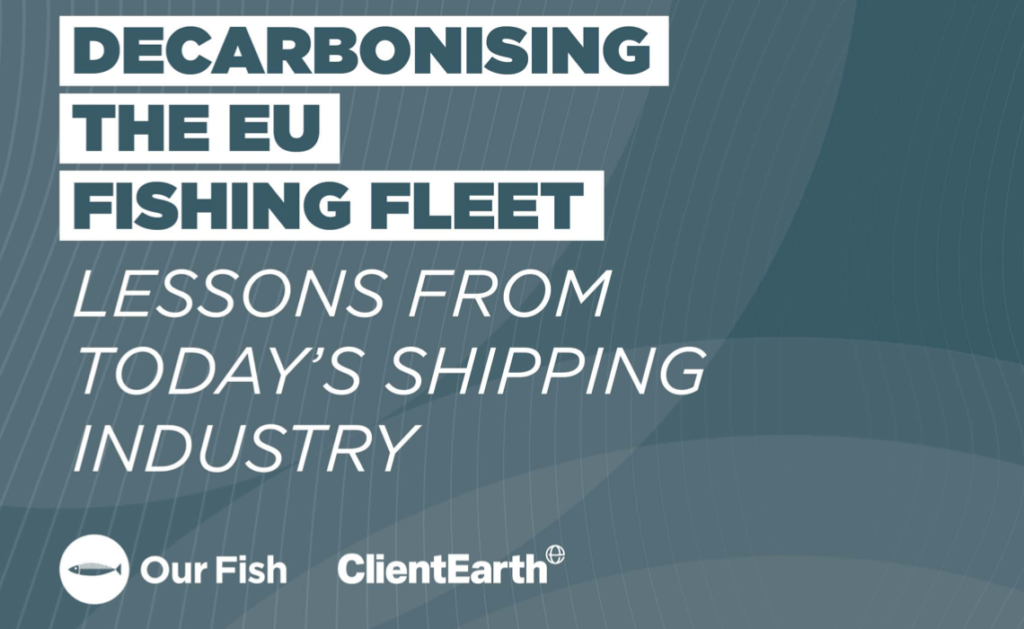 Decarbonising the EU Fishing Fleet. Lessons from Today's Shipping Industry