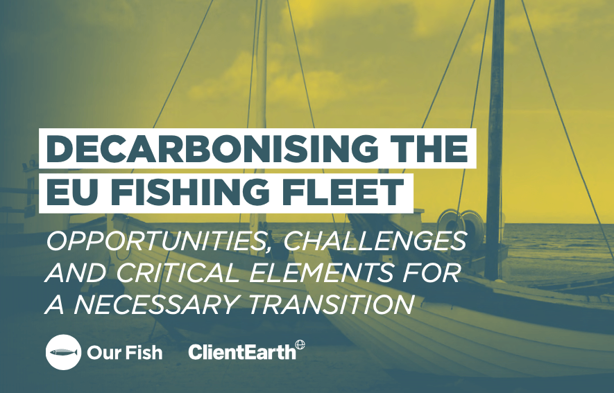 Briefing paper: Decarbonising the EU Fishing Fleet - Opportunities, Challenges and Critical Elements for a Necessary Transition