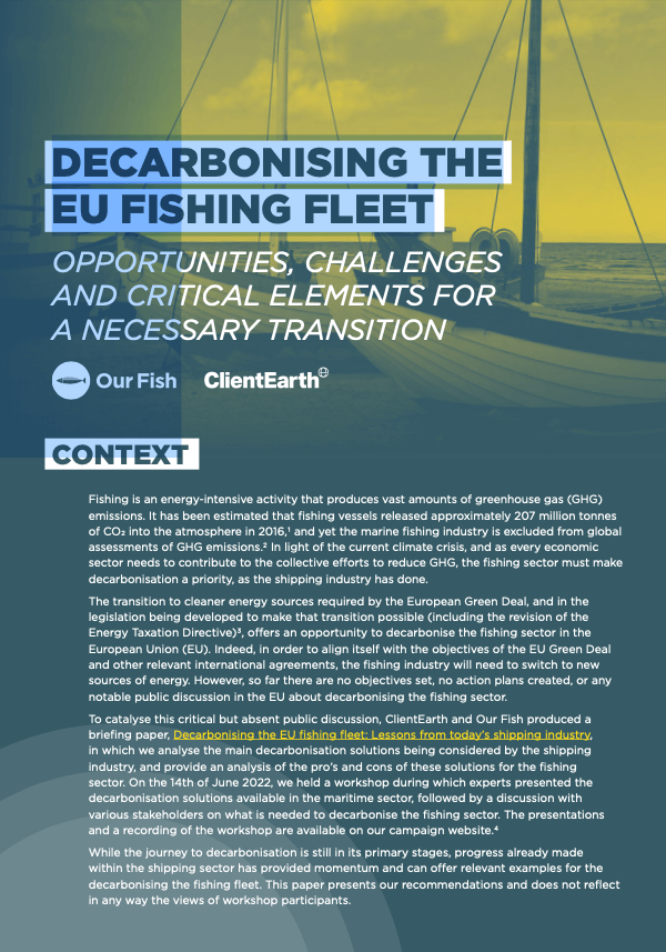 Decarbonising the EU Fishing Fleet. Opportunities, Challenges and Critical Elements for a Necessary Transition