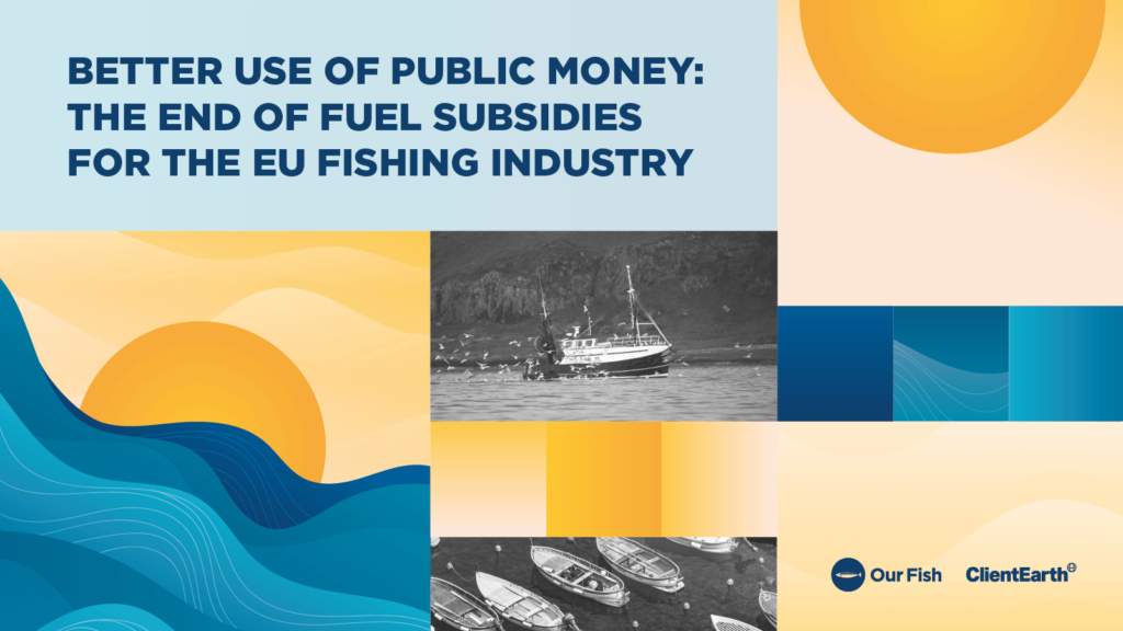Report: Better Use of Public Money: the End of Fuel Subsidies for the EU Fishing Industry