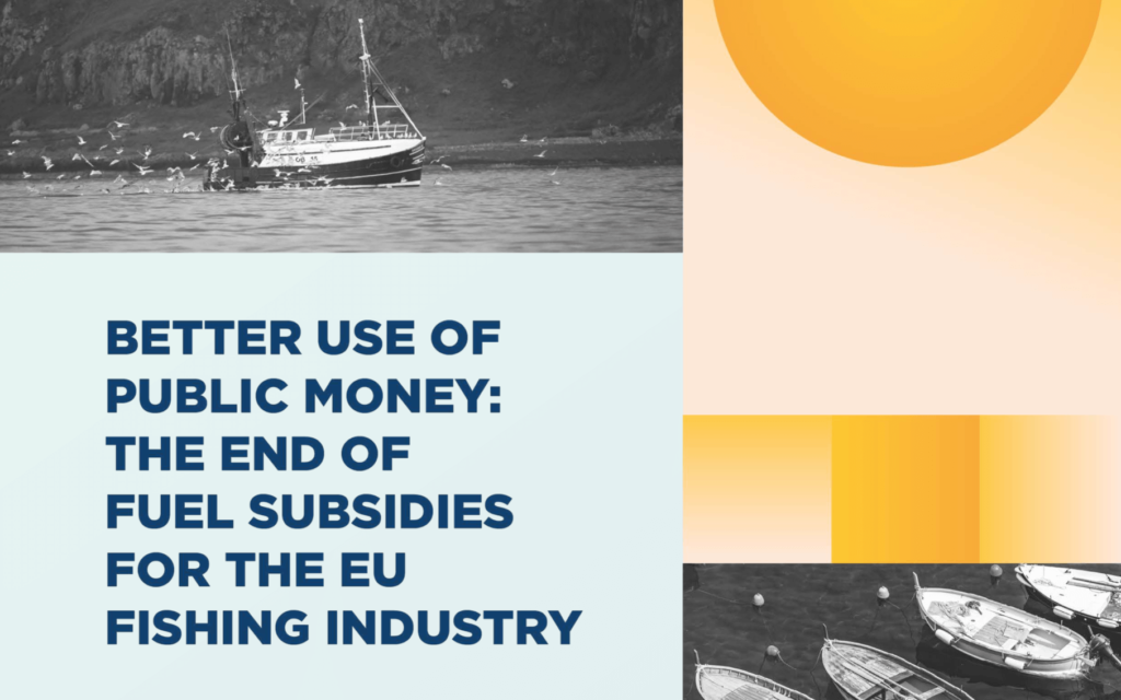 Report: Better Use of Public Money: the End of Fuel Subsidies for the Fishing Industry