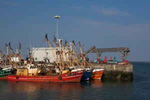 Fishing boats tied up in Kilmore Quay, Wexford, Ireland. Photo: davewalshphoto.com